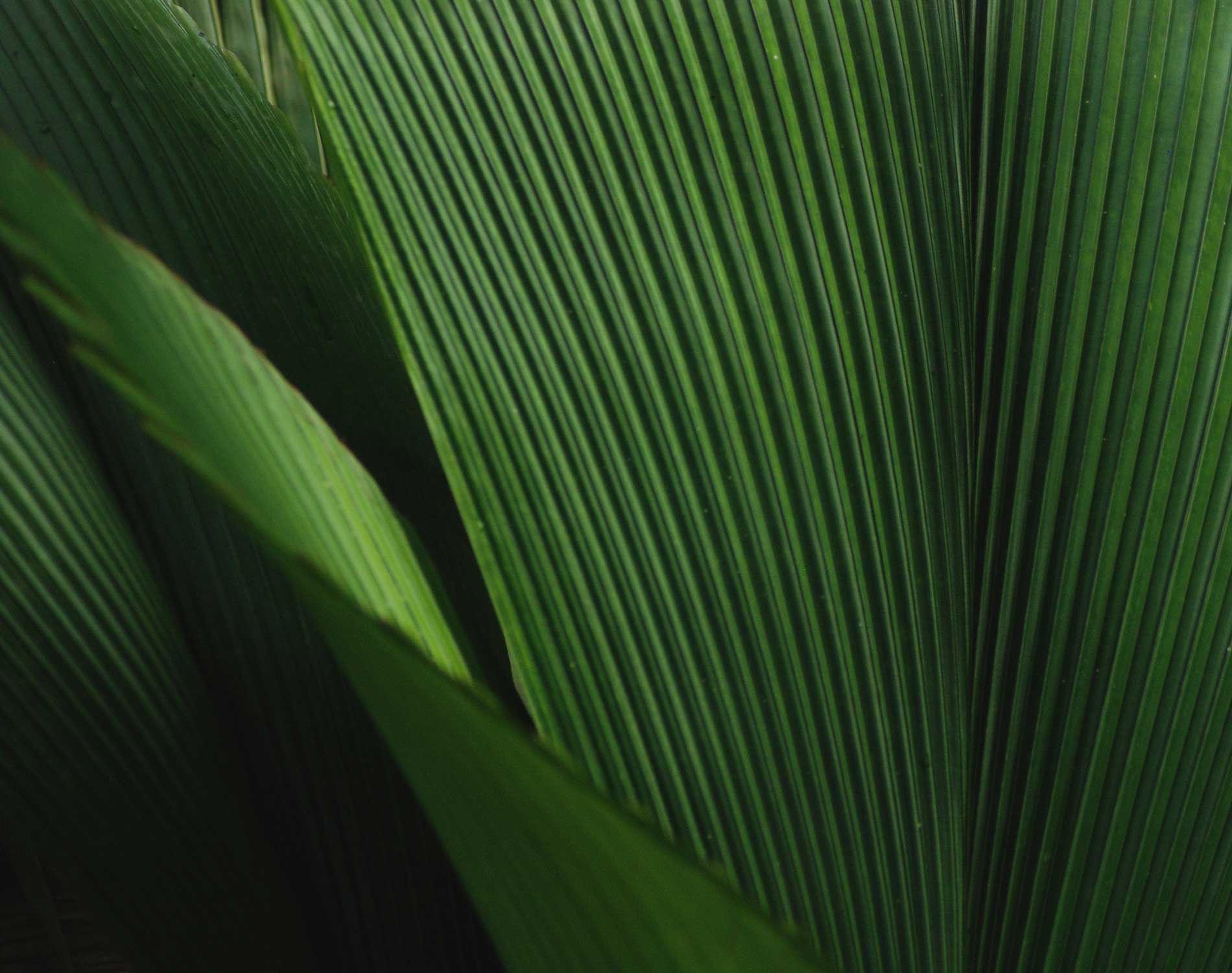 /-/media/images/website/background-images/gpof/abstract/adobestock_257732184.ashx