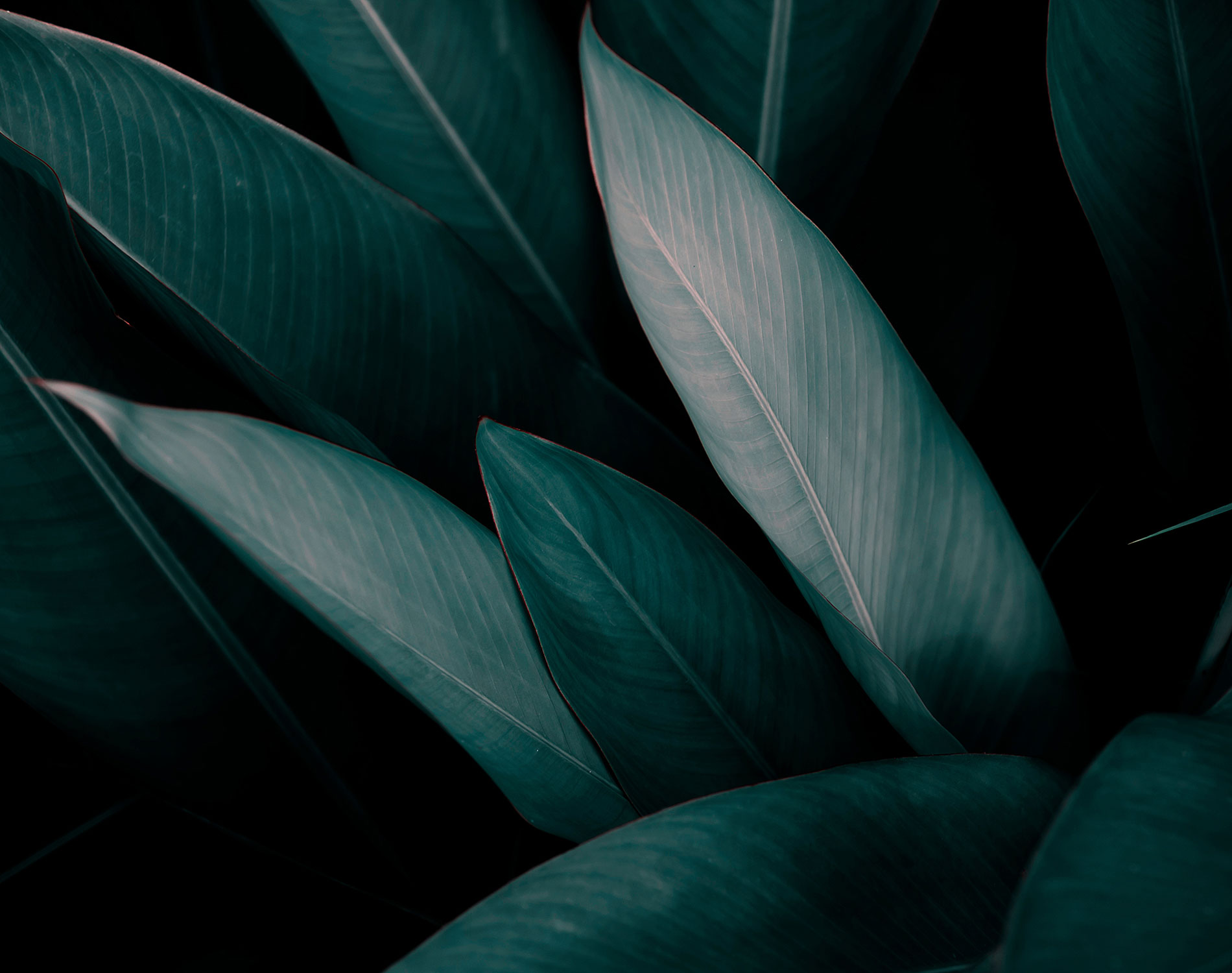 /-/media/images/website/background-images/gpof/abstract/adobestock_297275828.ashx