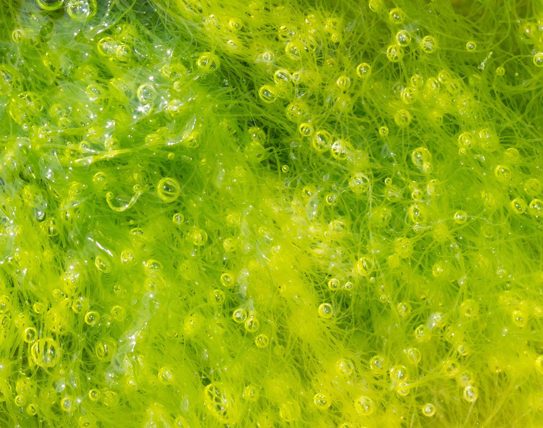 /-/media/images/website/background-images/gpof/abstract/adobestock_43659469.ashx