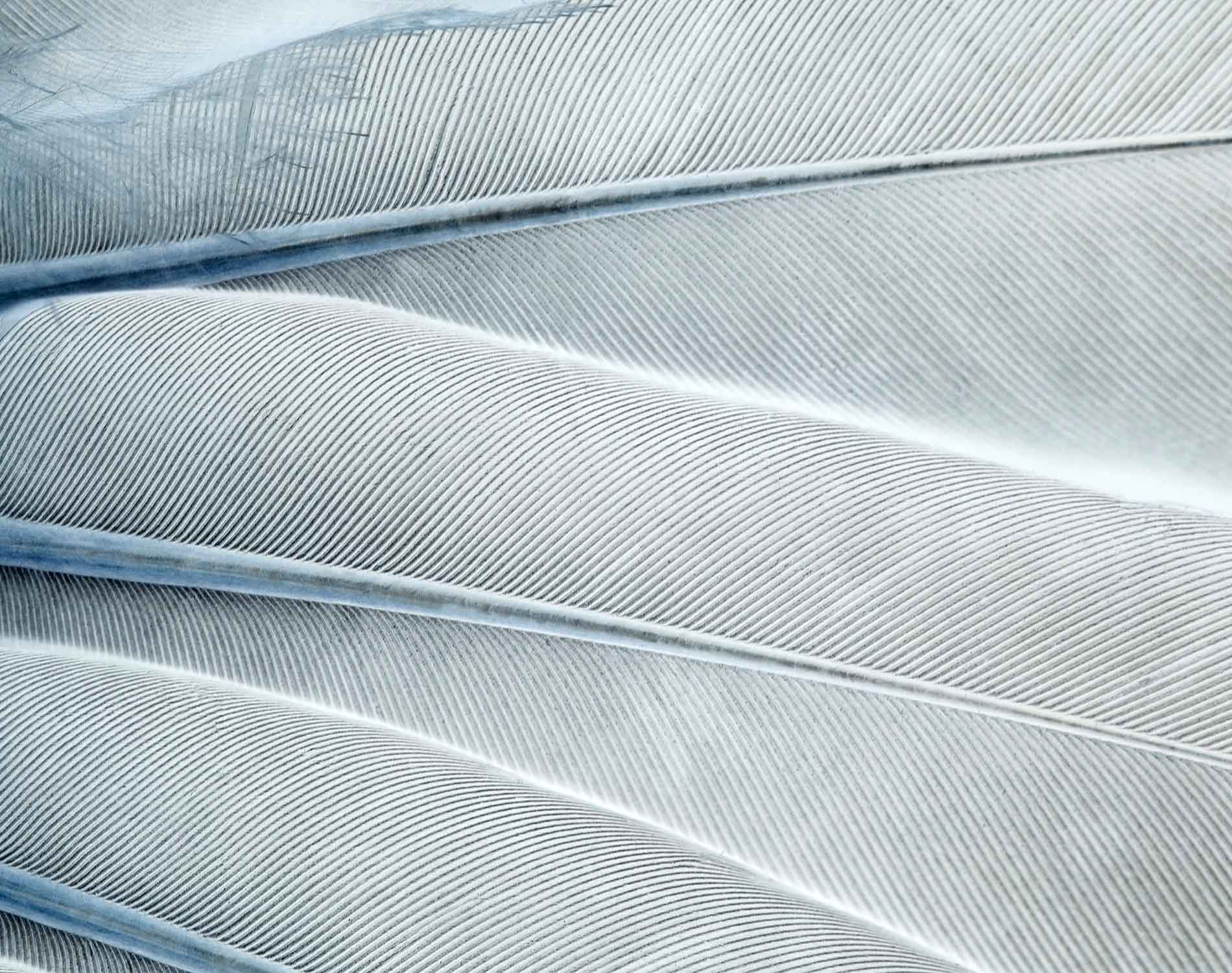 /-/media/images/website/background-images/gpof/abstract/istock-495669078.ashx