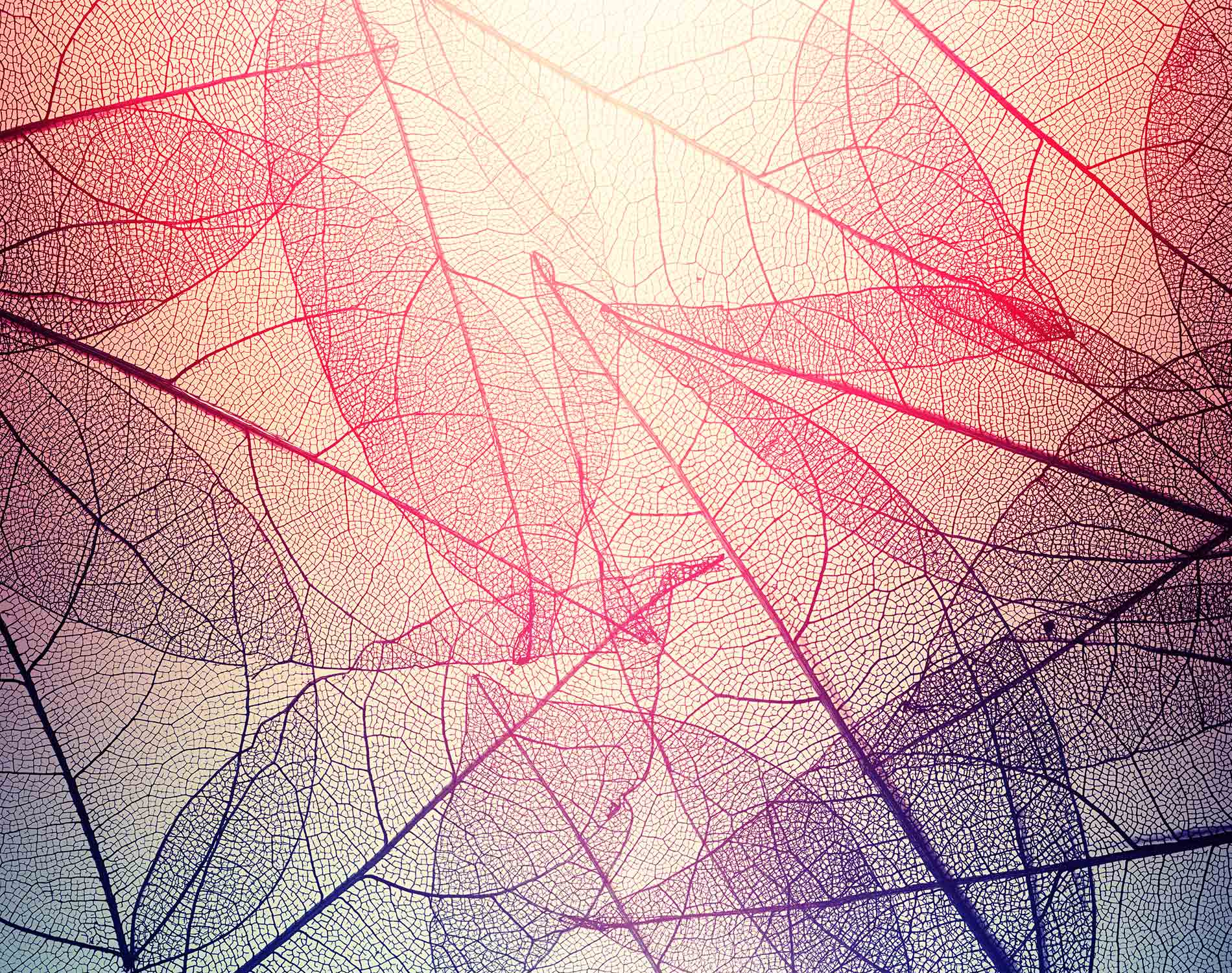 /-/media/images/website/background-images/gpof/abstract/istock-637444690.ashx