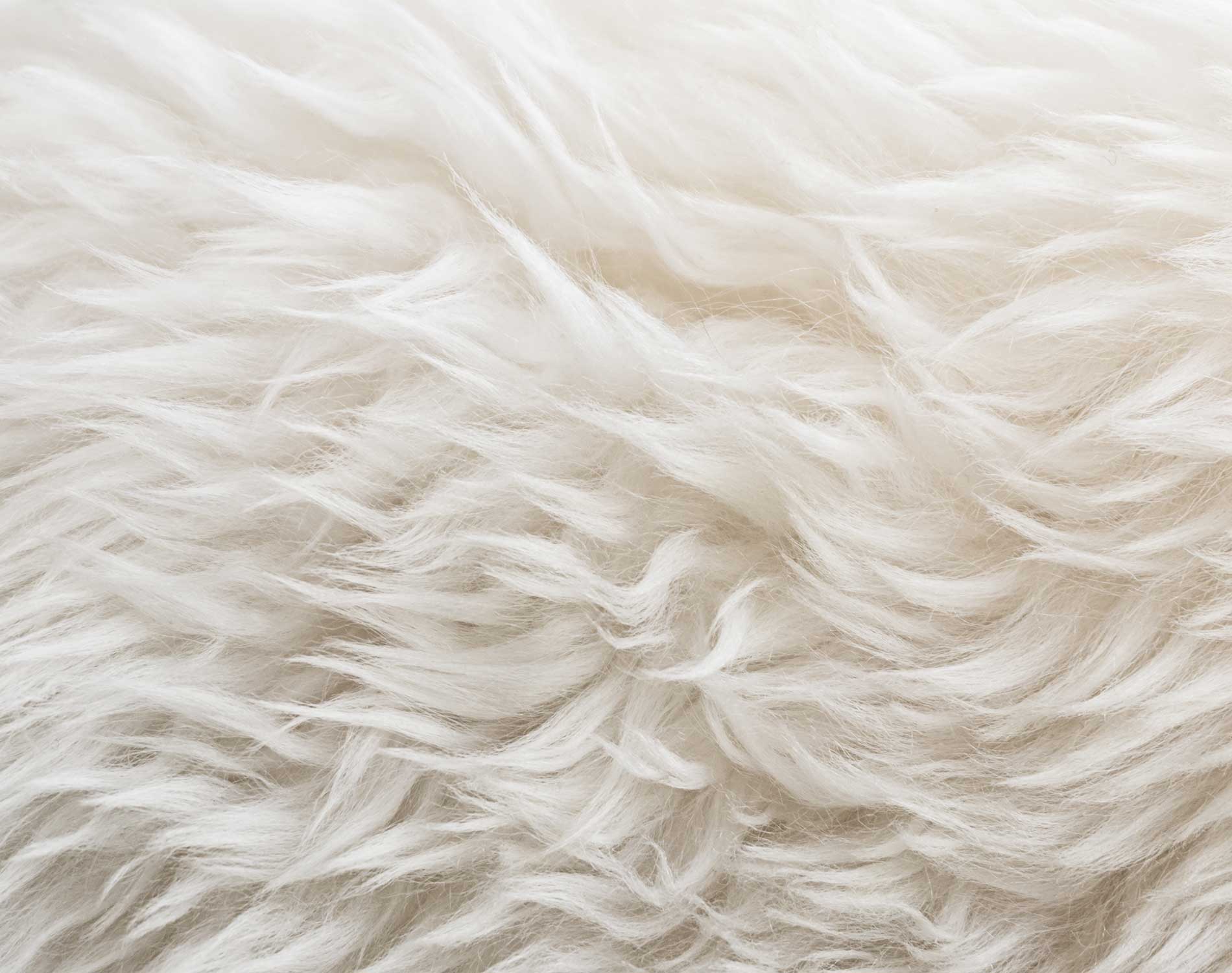 /-/media/images/website/background-images/gpof/animals/adobestock_198088415.ashx